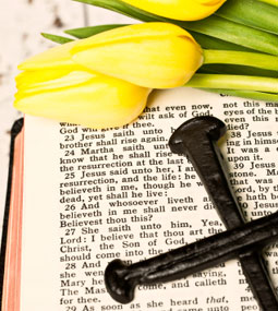 Easter Bible