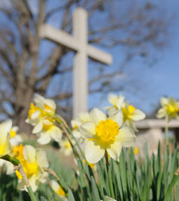 Spring Cross